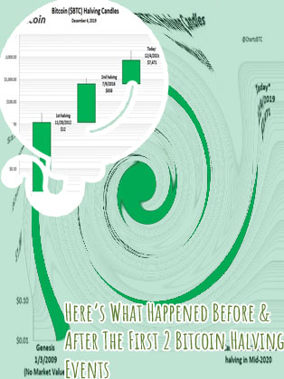Bitcoin halving charts