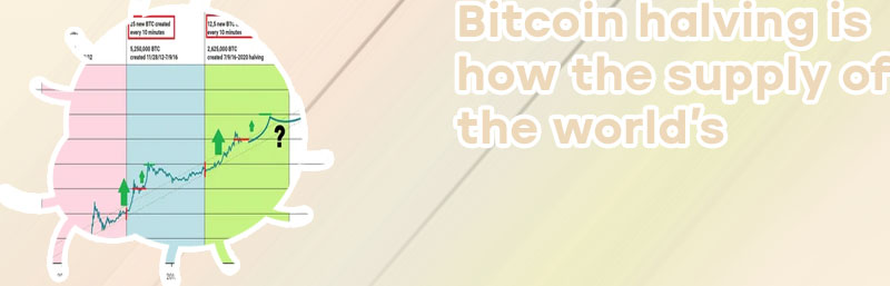 Bitcoin price after halving chart