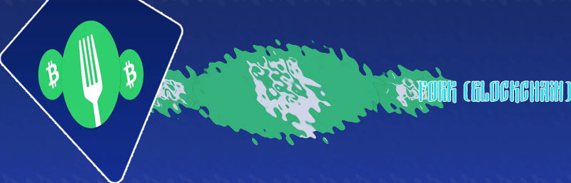 Crypto fork meaning
