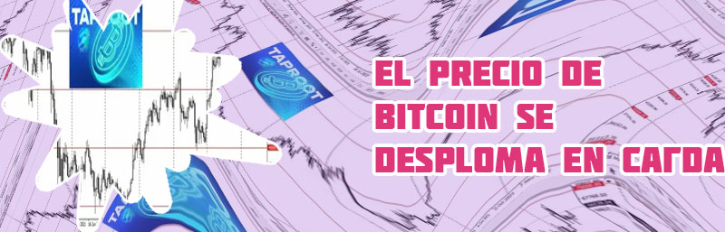 Evolucion bitcoin