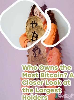 Who holds all the bitcoin